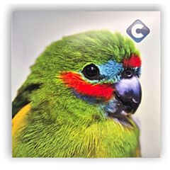 CalorTrans Sublimatie aluminium - 1mm dik - 1220x610
